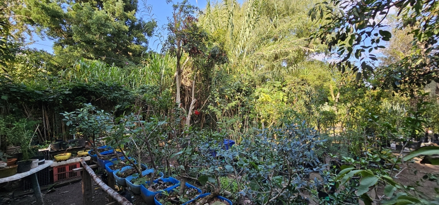 5 Bedroom Property for Sale in Swellendam Western Cape